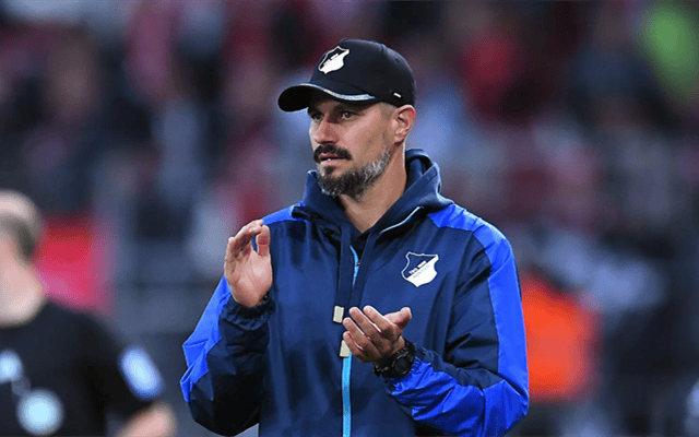 爱游戏体育德甲：霍芬海姆vs科隆，谁能重返胜轨？