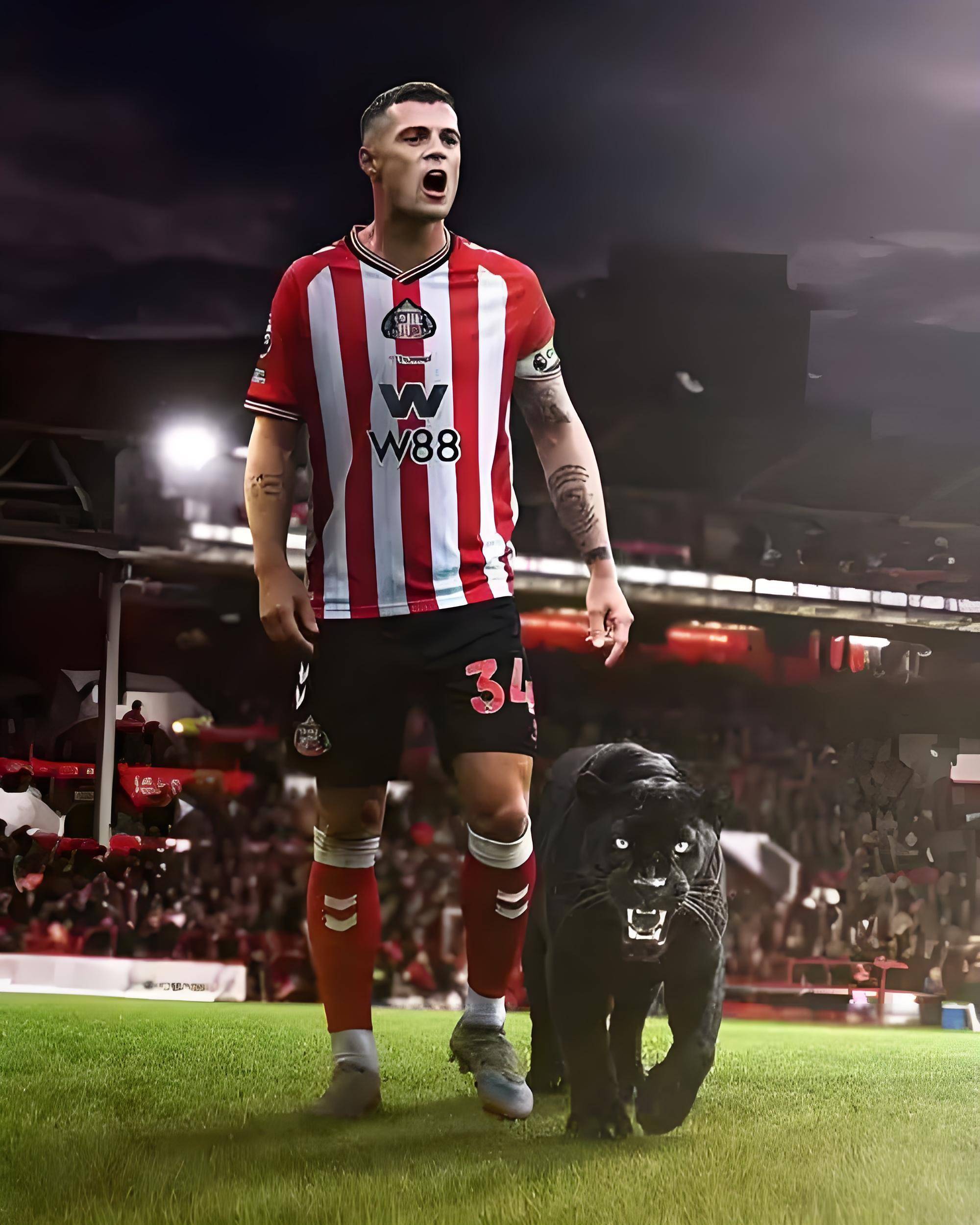 爱游戏体育曼联小心！扎卡成为桑德兰梦幻开局的核心，铸就桑德兰非常硬中场