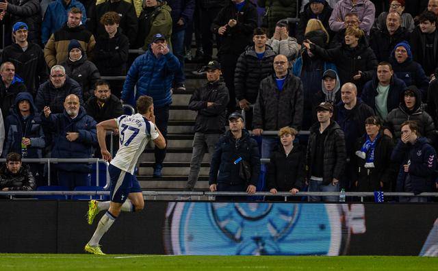 爱游戏体育英超｜热刺胜埃弗顿